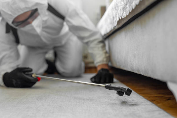 Professional Cockroach Control technician working in Wollochet, WA
