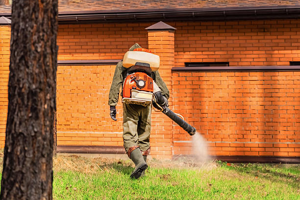 Trusted Cockroach Control service in Wollochet, WA - Nex Pest Control